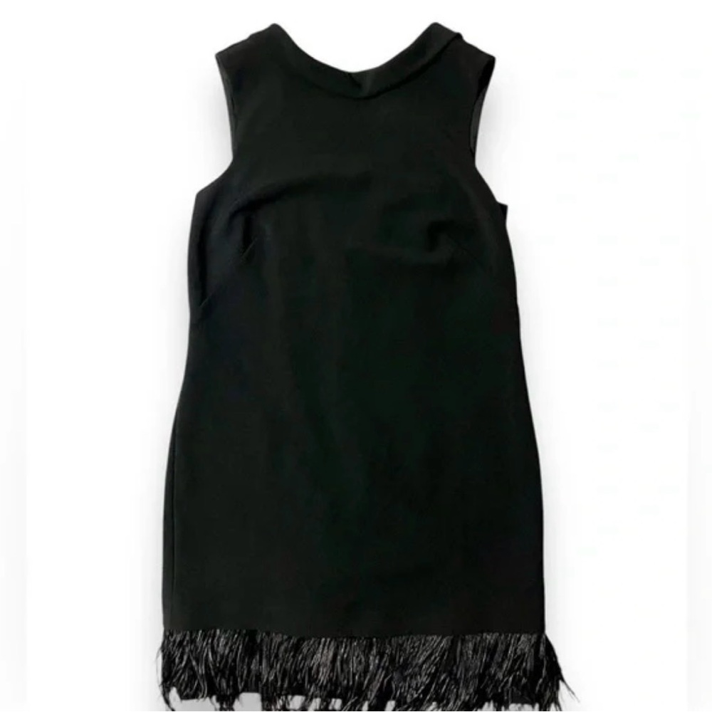 Taylor Black Mini Dress with Fringe Detail